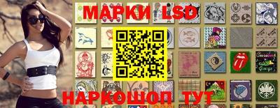 крисы Моздок