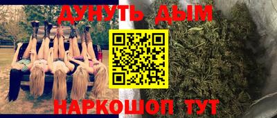 крисы Моздок