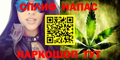 крисы Моздок