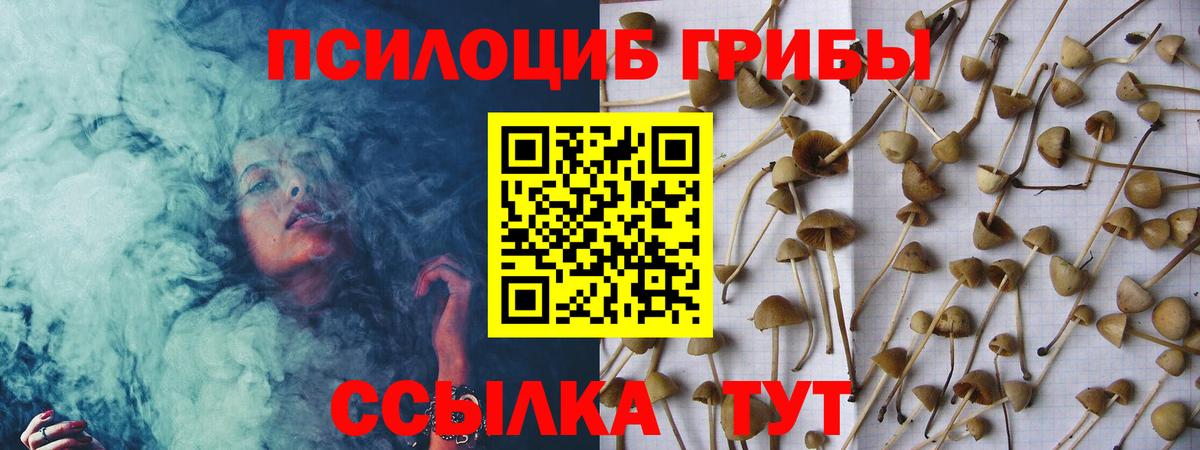 Псилоцибиновые грибы мицелий  Псилоцибиновые грибы MAGIC MUSHROOMS  Вход с VPN  Горячий Ключ 